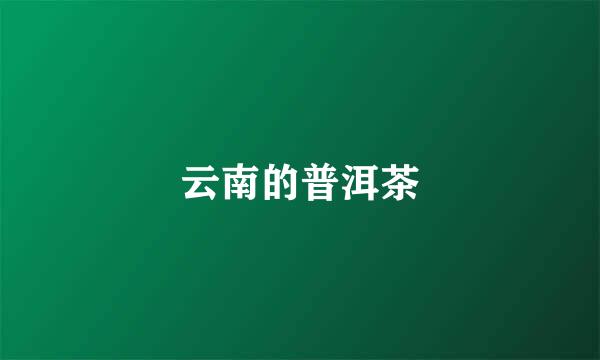 云南的普洱茶