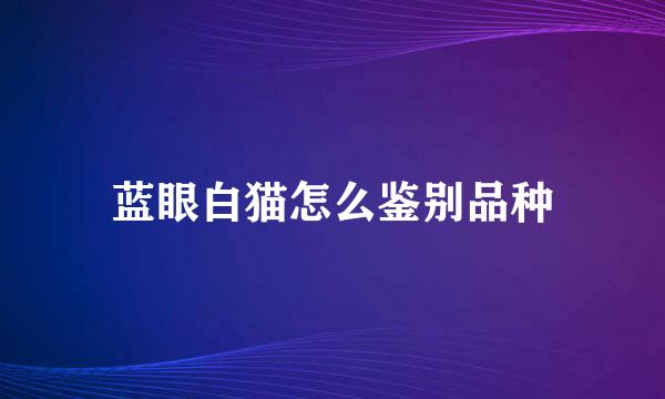 蓝眼白猫怎么鉴别品种
