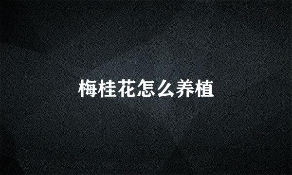 梅桂花怎么养植