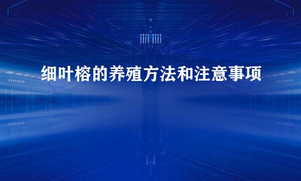 细叶榕的养殖方法和注意事项