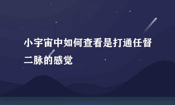 小宇宙中如何查看是打通任督二脉的感觉