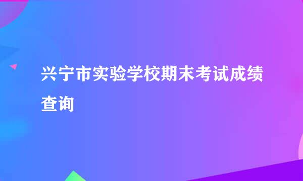 兴宁市实验学校期末考试成绩查询