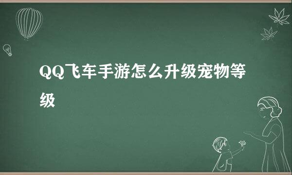 QQ飞车手游怎么升级宠物等级
