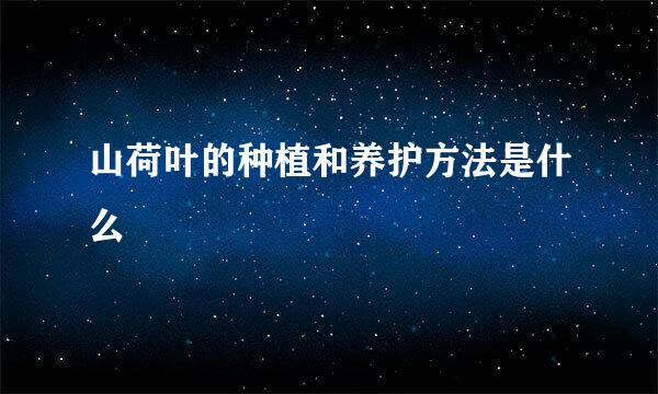 山荷叶的种植和养护方法是什么