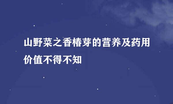 山野菜之香椿芽的营养及药用价值不得不知