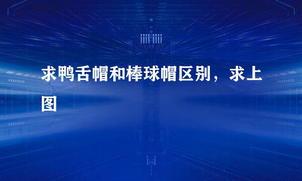 求鸭舌帽和棒球帽区别，求上图