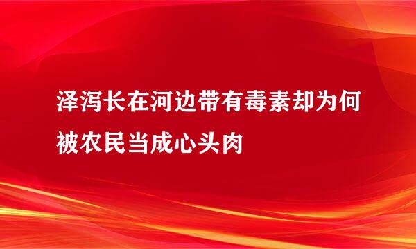 泽泻长在河边带有毒素却为何被农民当成心头肉