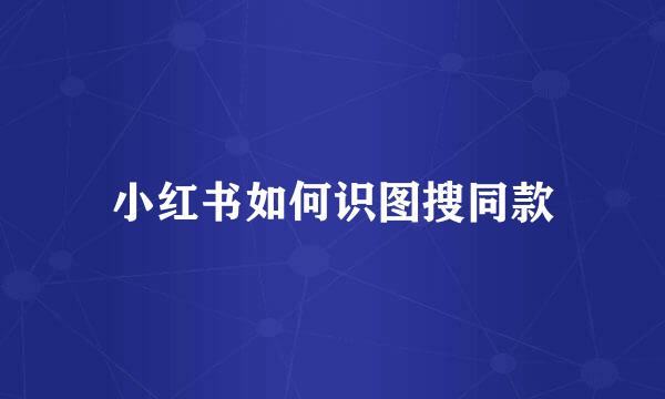 小红书如何识图搜同款