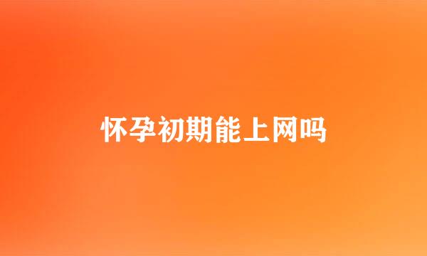 怀孕初期能上网吗