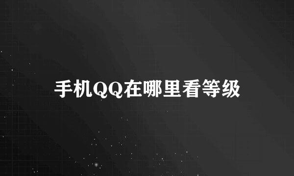 手机QQ在哪里看等级
