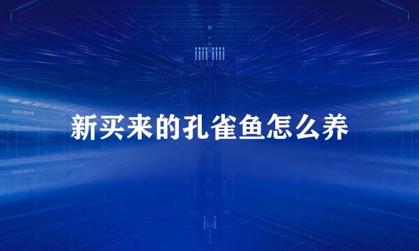 新买来的孔雀鱼怎么养
