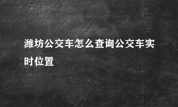 潍坊公交车怎么查询公交车实时位置