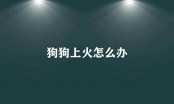 狗狗上火怎么办