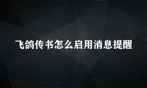 飞鸽传书怎么启用消息提醒