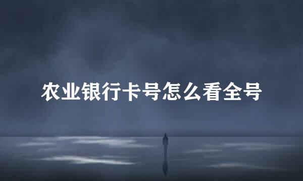 农业银行卡号怎么看全号