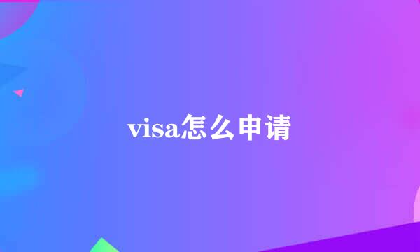 visa怎么申请