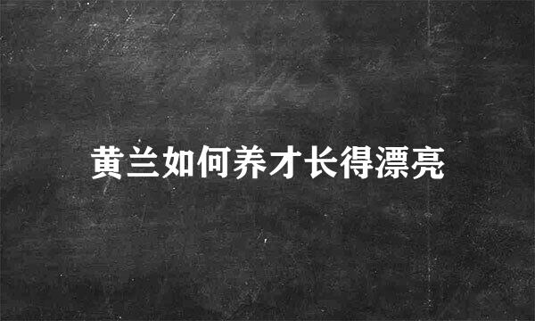 黄兰如何养才长得漂亮