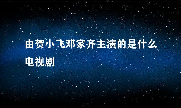 由贺小飞邓家齐主演的是什么电视剧