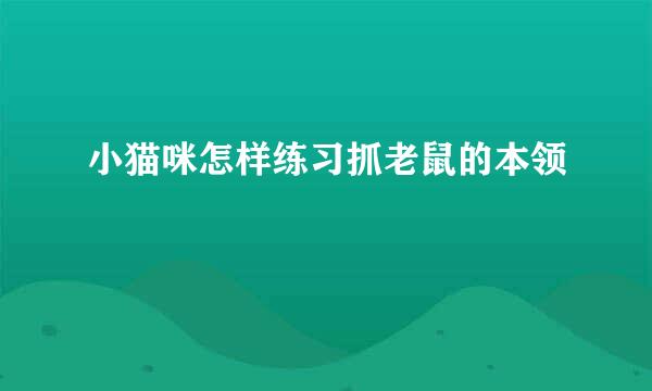 小猫咪怎样练习抓老鼠的本领
