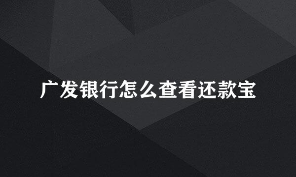 广发银行怎么查看还款宝