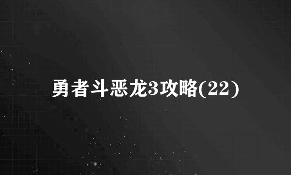 勇者斗恶龙3攻略(22)