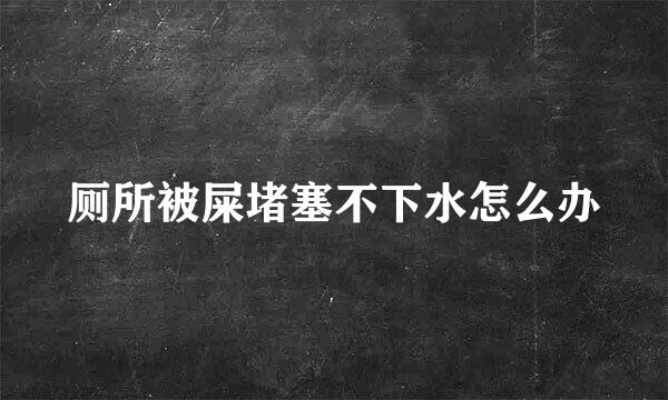 厕所被屎堵塞不下水怎么办