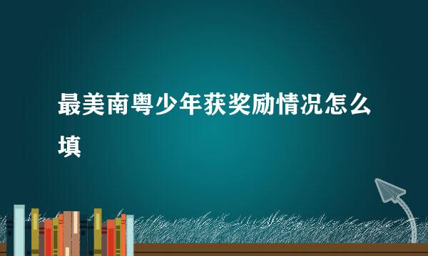 最美南粤少年获奖励情况怎么填