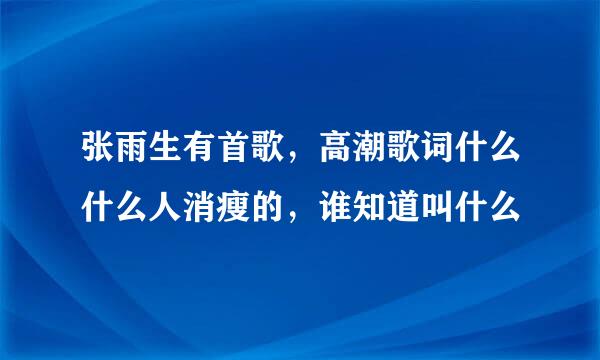 张雨生有首歌，高潮歌词什么什么人消瘦的，谁知道叫什么