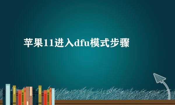苹果11进入dfu模式步骤