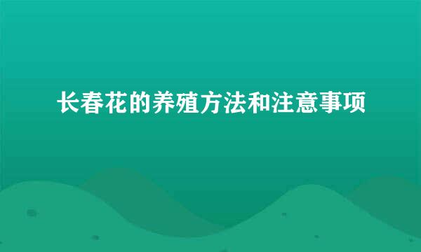 长春花的养殖方法和注意事项