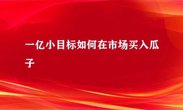 一亿小目标如何在市场买入瓜子