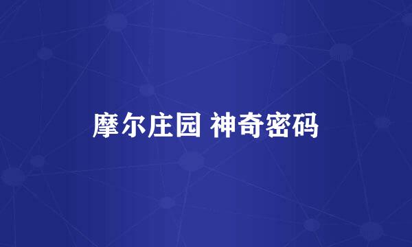 摩尔庄园 神奇密码