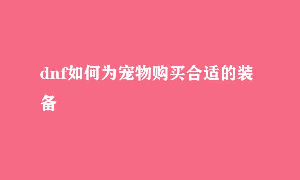 dnf如何为宠物购买合适的装备