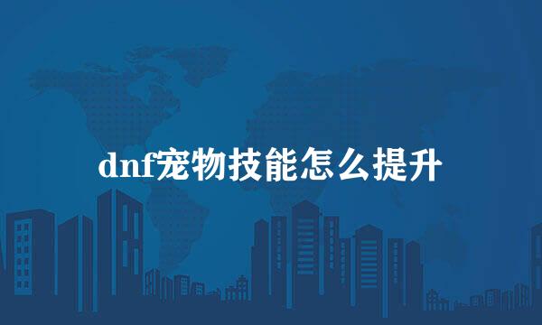 dnf宠物技能怎么提升