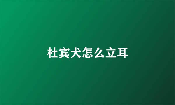 杜宾犬怎么立耳