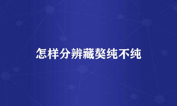 怎样分辨藏獒纯不纯