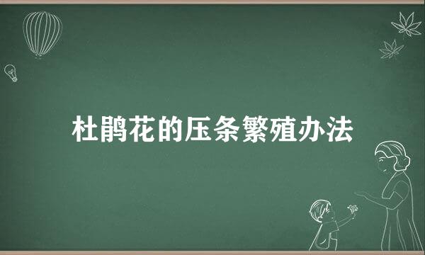 杜鹃花的压条繁殖办法