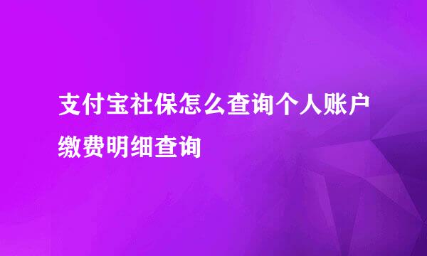 支付宝社保怎么查询个人账户缴费明细查询