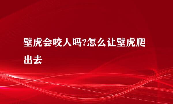 壁虎会咬人吗?怎么让壁虎爬出去
