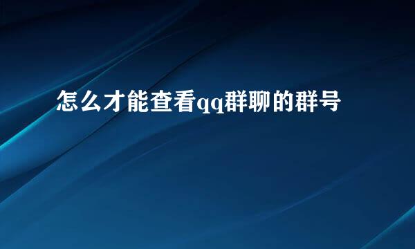 怎么才能查看qq群聊的群号