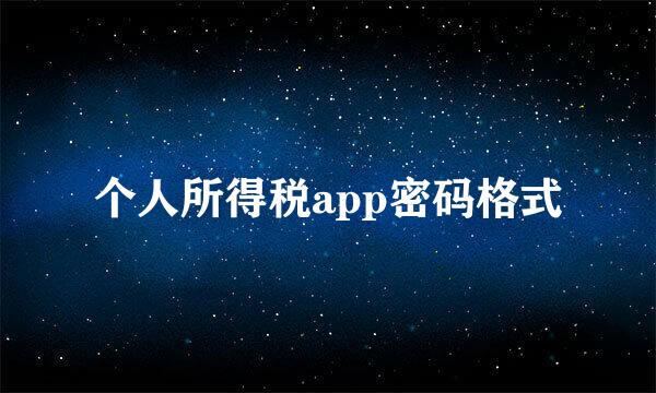 个人所得税app密码格式