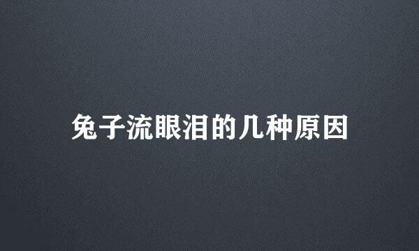 兔子流眼泪的几种原因