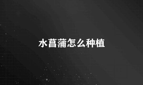 水菖蒲怎么种植