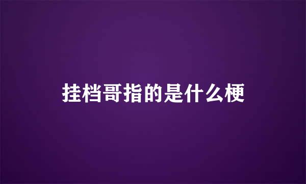 挂档哥指的是什么梗