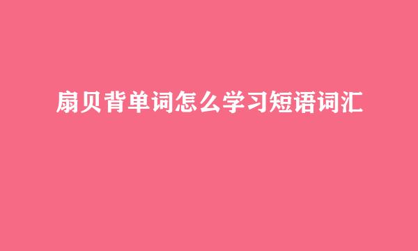 扇贝背单词怎么学习短语词汇
