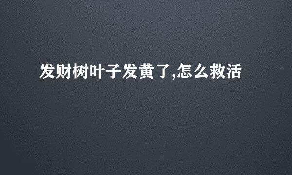 发财树叶子发黄了,怎么救活