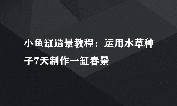 小鱼缸造景教程：运用水草种子7天制作一缸春景