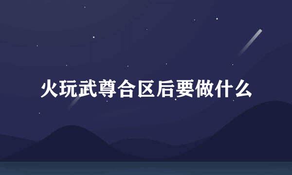 火玩武尊合区后要做什么