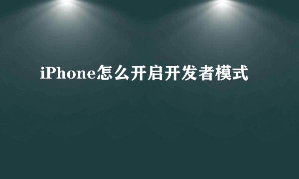 iPhone怎么开启开发者模式