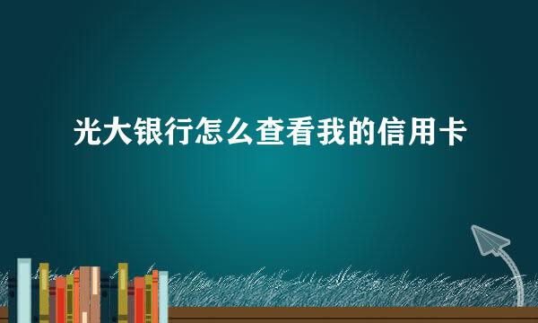 光大银行怎么查看我的信用卡